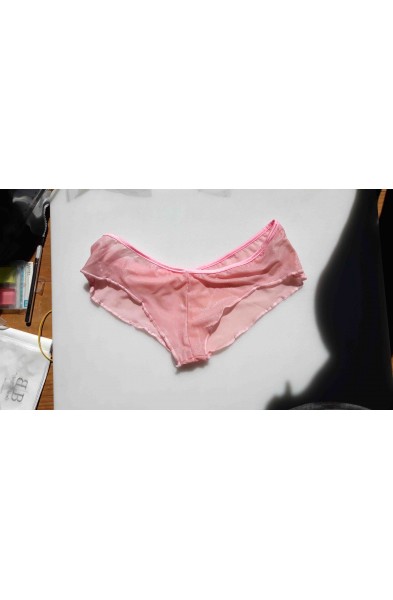 Beauty or Brains? - Sheer Booty Shorts Panty