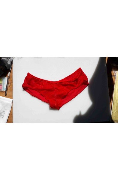 Beauty or Brains? - Sheer Booty Shorts Panty
