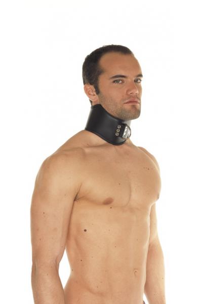 Deluxe 4 Inch Tall Posture Collar
