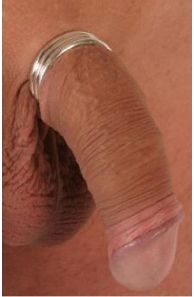 Hedge Fund - Silver Penis Band
