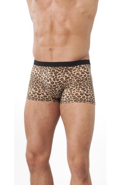 Leopard Shorts