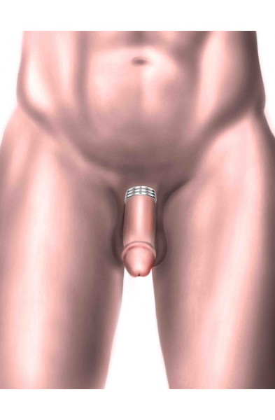 Philanthropist- Solid Sterling Silver Penis Ring