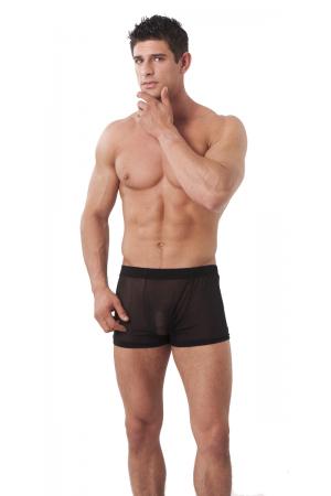 Public Enemy - Black Sheer Shorts