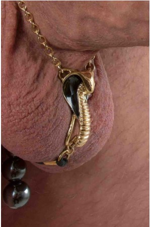 Thutmose - Gold Cobra Penis Jewelry