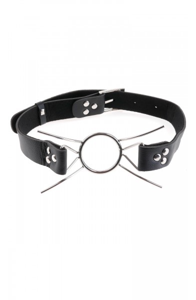 Fetish Fantasy Extreme Spider Gag