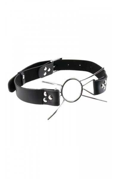 Fetish Fantasy Extreme Spider Gag