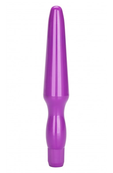 Fujikos Waterproof Anal Probe - Purple