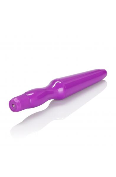 Fujikos Waterproof Anal Probe - Purple