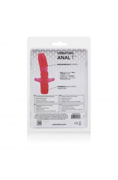 Vibrating Anal T