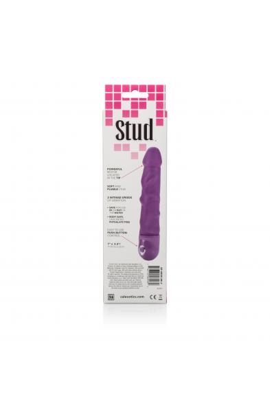 Waterproof Power Stud Rod Dong - Purple