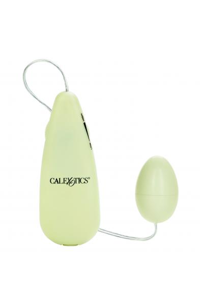 Pocket Exotics Glow-in-the-Dark Egg