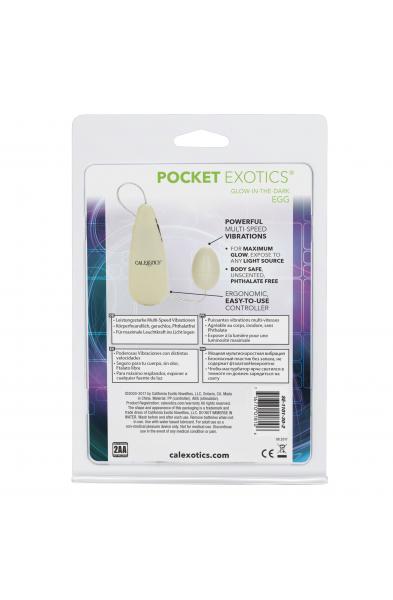 Pocket Exotics Glow-in-the-Dark Egg
