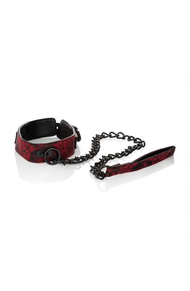 Scandal Collar With Leash