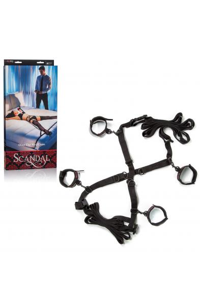 Scandal Over the Bed Cross