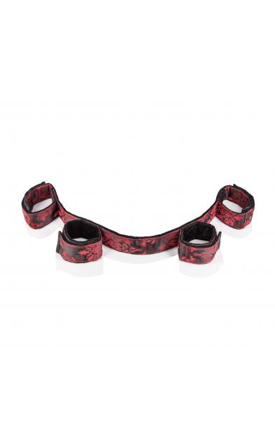 Scandal Bondage Bar