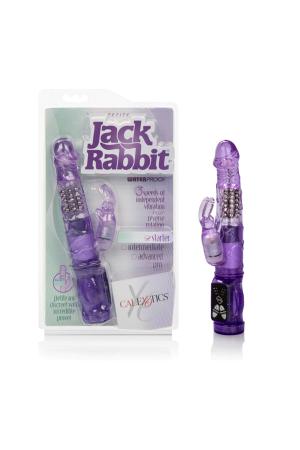 Petite Jack Rabbit - Purple