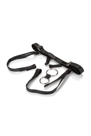 Her Royal Harness  -  the Dutchess