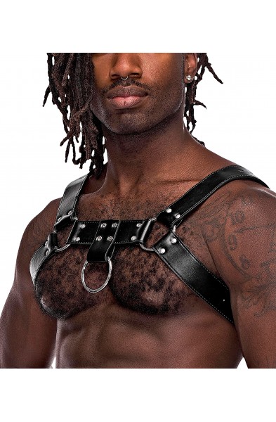 Aries Leather Harness - One Size - Black