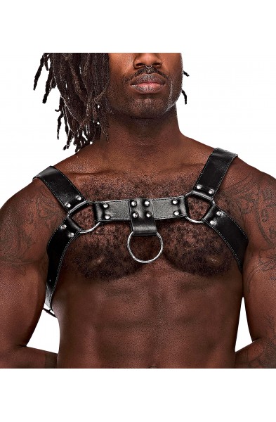 Aries Leather Harness - One Size - Black