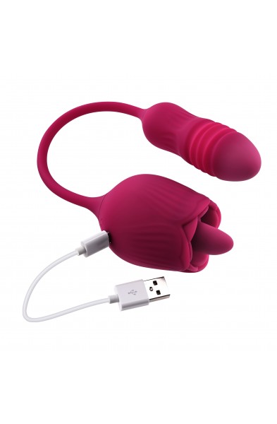 Wild Rose - Red
