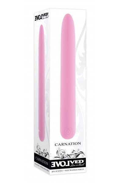 Carnation - Pink