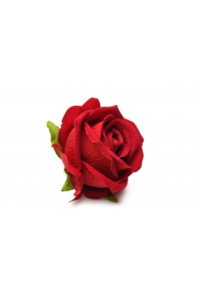The Rose Lover's Gift Box Bloomgasm - Red