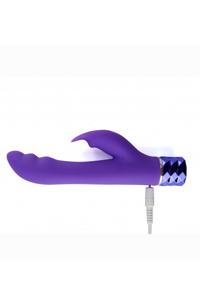 Hailey 10-Function Vibrating Rechargeable Dual  Vibe - Purple