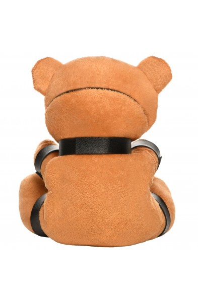 Gagged Teddy Bear Plush