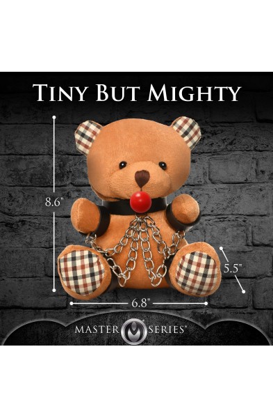 Gagged Teddy Bear Plush
