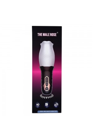 The Male Rose