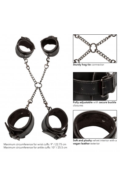 Euphoria Collection Hog Tie - Black