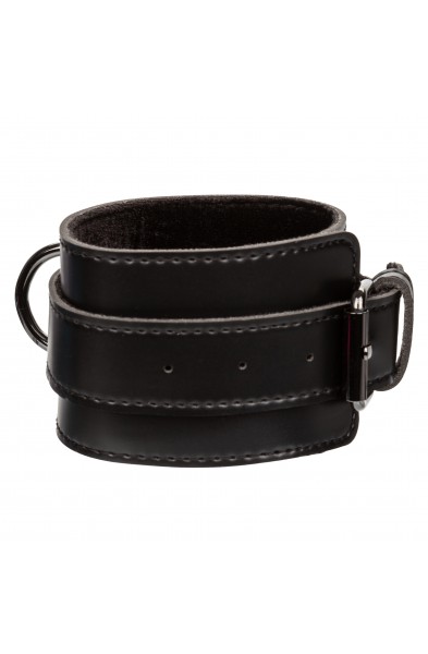 Euphoria Collection Hog Tie - Black