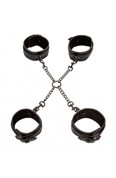 Euphoria Collection Hog Tie - Black