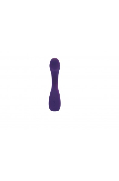 Desire Rechargeable G-Spot Vibe - Purple
