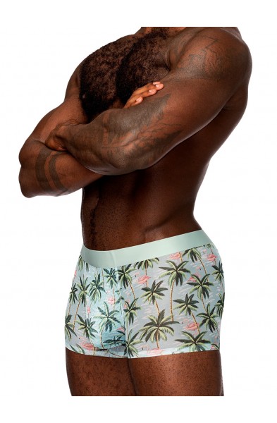 Sheer Prints - Seamless Sheer Short - Medium -  Flamingo