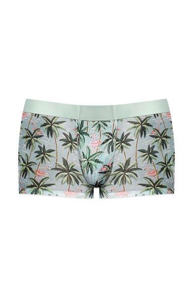 Sheer Prints - Seamless Sheer Short - Medium -  Flamingo