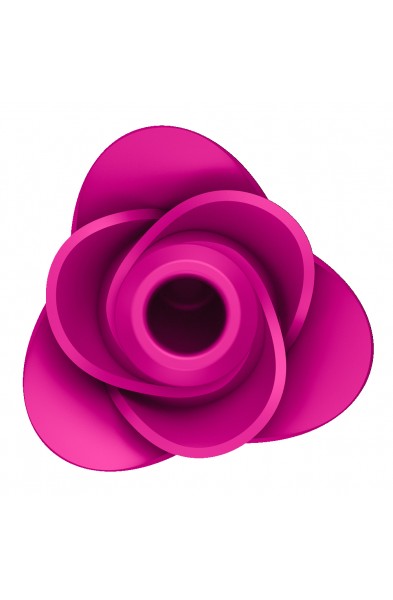 Pro 2 Classic Blossom - Plum